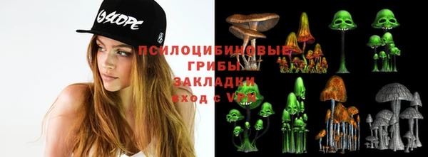 прущая мука Белоозёрский