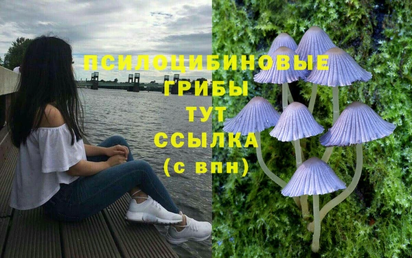 хмурый Протвино