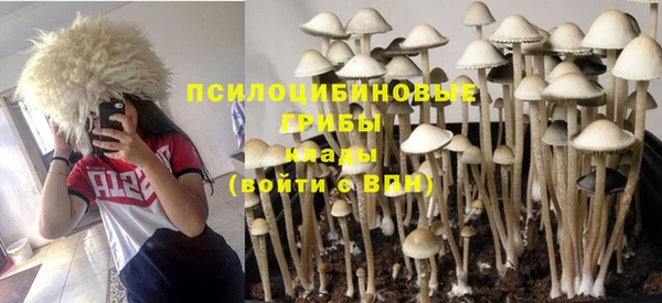 наркотики Белокуриха