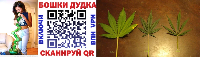 где купить   Мышкин  Марихуана конопля 